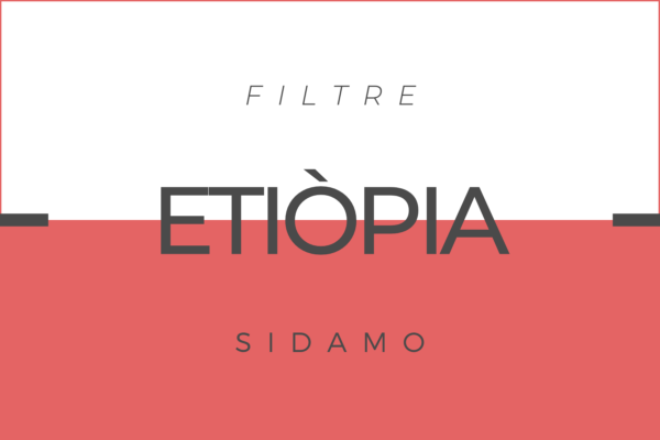 Cafè Etiòpia Sidamo per a cafetera de Filtre