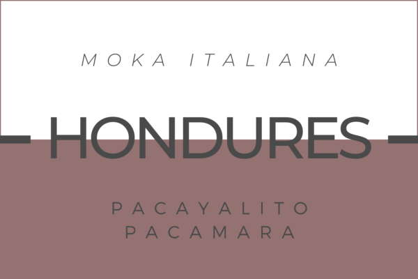 Cafè Hondures Pacayalito Pacamara per a cafetera Moka Italiana