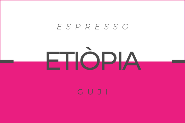 Café Guji etíope tostado por Cafetera Espresso