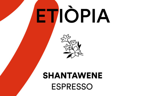 Cafè Etiòpia Shantawene torrat per Cafetera Espresso