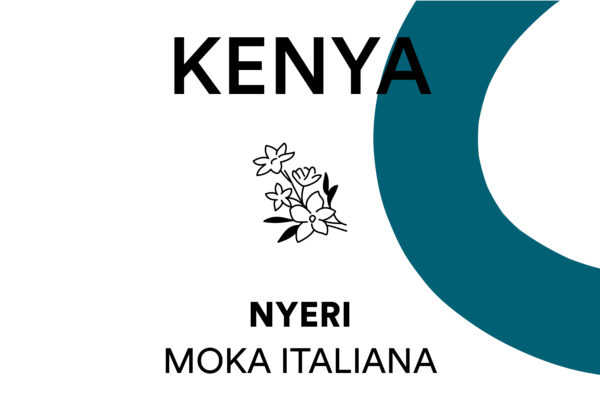 Cafè d'especialitat aràbica Kenya Nyeri per a cafetera Moka Italiana